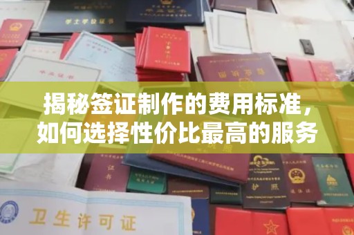 新津揭秘签证制作的费用标准，如何选择性价比最高的服务？