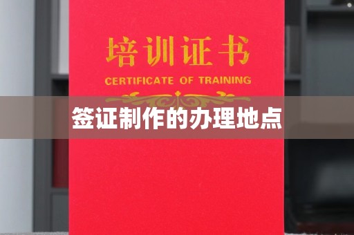 新津签证制作的办理地点