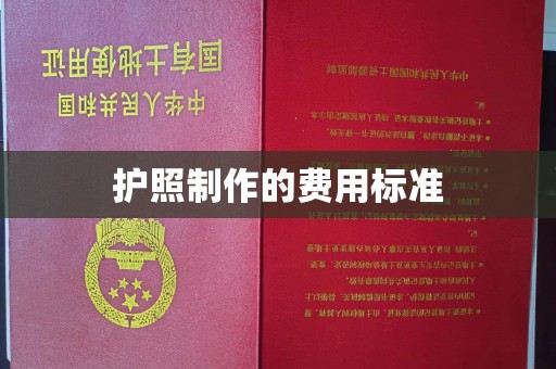 新津护照制作的费用标准