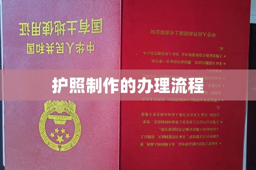 新津护照制作的办理流程