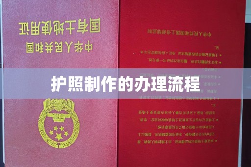新津护照制作的办理流程